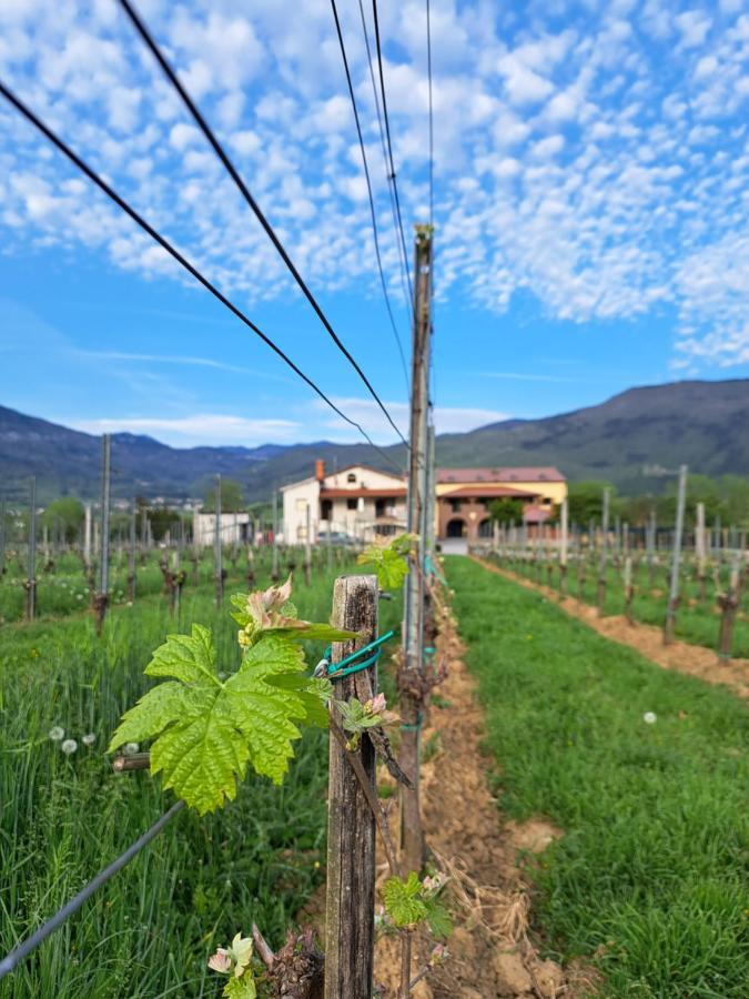 Posestvo Rouna - Winery And Apartments Випава Екстериор снимка