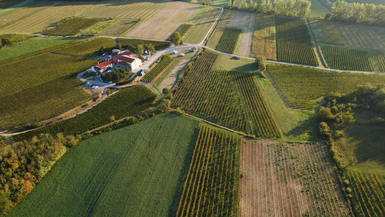 Posestvo Rouna - Winery And Apartments Випава Екстериор снимка